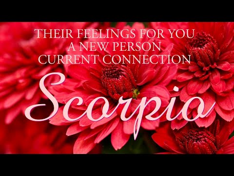 SCORPIO tarot love ♏️ They’ve Ghosted You Because They Got Scared Of Their Own Feelings Scorpio