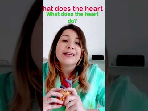 What does your heart do?  How can we better ourselves and make our hearts healthier?