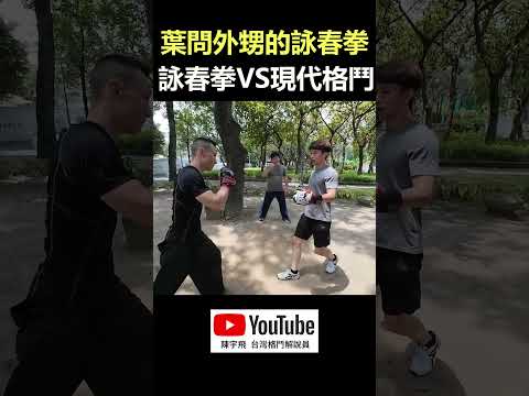 【詠春拳 VS 踢拳擊】公園直接開打👊｜葉問外甥系統的詠春拳 🔥🔥王兆羽武術學院