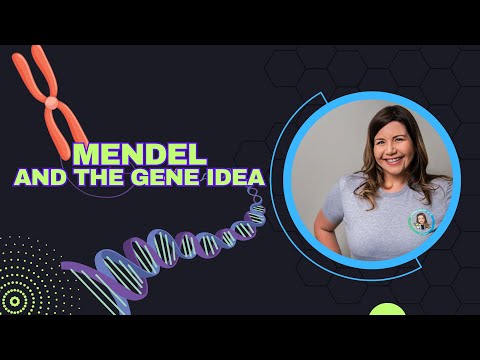 Mendel and the Gene Idea (Bio Ch. 14)