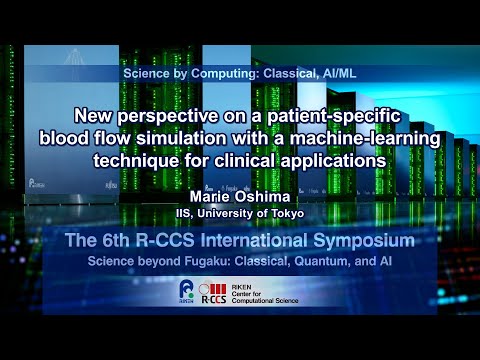 "New perspective on a patient-specific blood flow simulation with …"