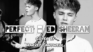 Perfect - Ed Sheeran Cover | Harvey Cantwell