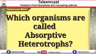 Absorptive Heterotrophs!