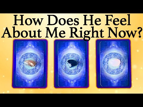 💕WHAT DOES HE/SHE THINK AND FEEL ABOUT ME RIGHT NOW?💕| 🔮Pick A Card🔮 | Love Tarot Reading (Timeless)