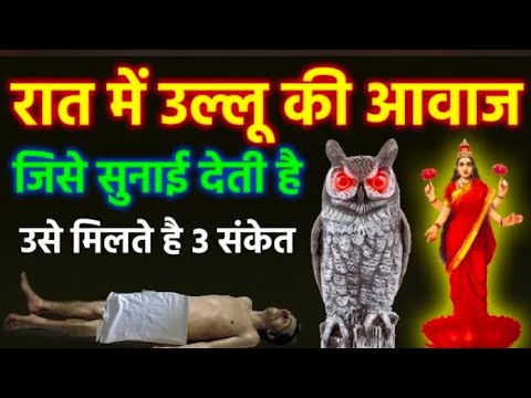 रात में उल्लू की आवाज जिसे सुनाई देती है उसे मिलते है 3 संकेत | Pashu pakshi #shrikrishna