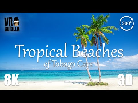 Tropical Caribbean Beaches of Tobago Cays in VR (short) - 8K 360 3D Video