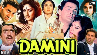 Damini 1993 Full Movie | Sunny Deol | Meenakshi Seshadri | Amrish Puri | Rishi Kapoor |Review & Fact