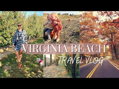 VIRGINIA BEACH VLOG | Solo Traveling, How I Pack, Exploring VA beach, Auntie Duties, Roidmi Eva