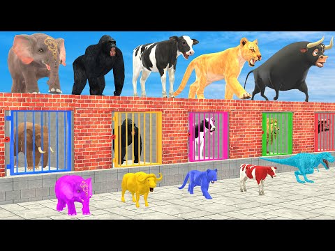 Cow Elephant Lion Gorilla Tiger T-Rex Choose The Right Mummy ESCAPE ROOM CHALLENGE Animals Cage Game