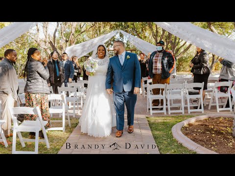 "Life is short, y'all better live" // Las Vegas Grove Wedding Film // Brandy + David