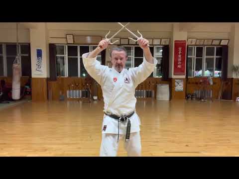 Hamahiga nu Sai segment explained #kobudo #shimbukan #古武道 #信武舘 #沖縄 #空手 #okinawa #karate