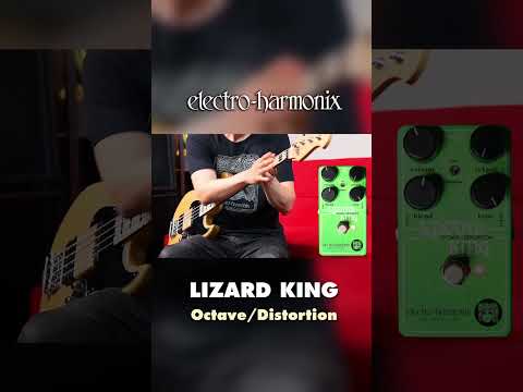 EHX Lizard King Bass Octave Fuzz Pedal Demo