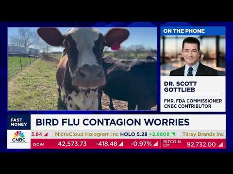 Dr  Scott Gottlieb talks US response to bird flu cases and what it could be doing better 2024-DEC-30