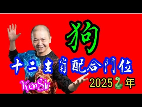 🧭🏠⛩️《狗》｜2025蛇年十二生肖｜《狗》配合家居環境｜生肖配八門吉兇｜宅命相配｜環境能量｜#2025蛇年 #生肖狗