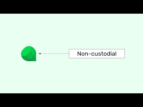 What Is the Difference Between Custodial and Non custodial Wallets?