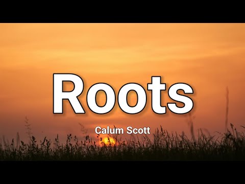 Calum Scott - Roots Lyrics