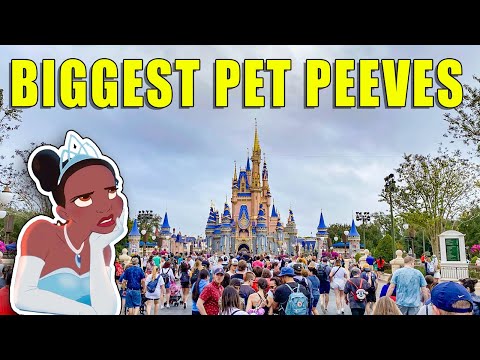 Disney Pet Peeves that Drive Us Crazy!