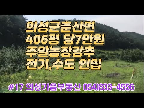 #17 의성가음부동산 마을근처 4m도로접 전망좋은 채소밭 406평 2800만 (당7만원) 큰차진입 전기수도가능 개울물철철 저수지옆 쉼터 주말농장용 #의성땅#주말농장#싼땅