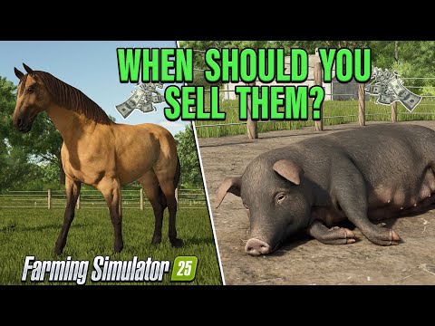 A GUIDE TO… HORSES & PIGS (SELLING) ON FARMING SIMULATOR 25!!