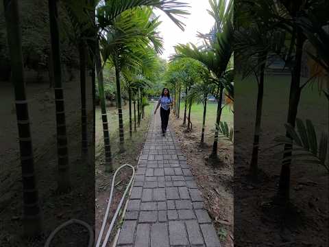 In solitude I find my answer ABANINDRANATH TAGORE'S GARDEN HOUSE #kolkata #konnagar