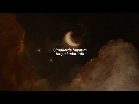 lana del rey - radio [türkçe çeviri]