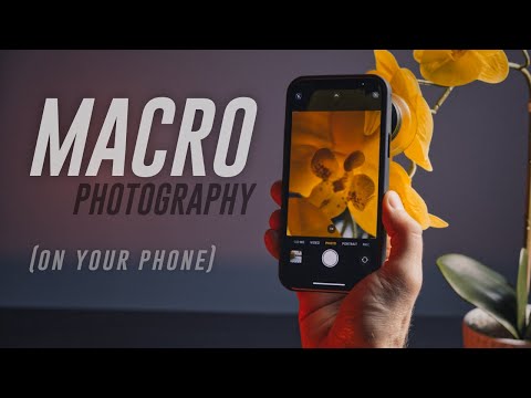 Sandmarc Macro Lens Edition Review: Crazy Detailed Macro For Mobile!