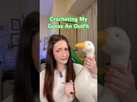 HAVE YOU HEARD OF PORCH GEESE? #crochet #crocheting