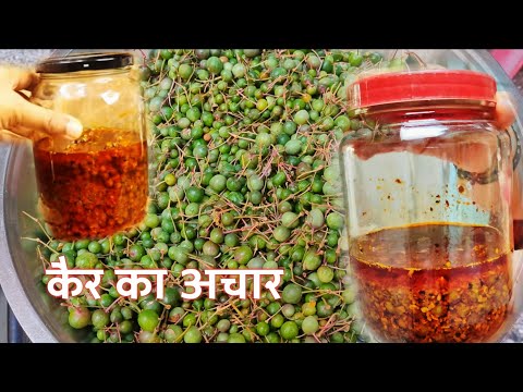 राजस्थानी केर का अचार सीधी मारवाड़ी | टेंटी का चटपटा अचार | Dela Pickle | Rajasthani ker pickle