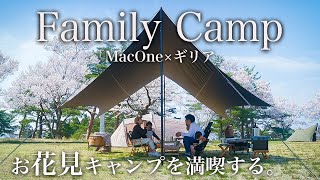 [Family Camp] Spring camp, enjoy family camp under the cherry blossoms.