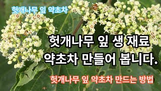 헛개나무 잎 생 재료 약초 차 만들어 봅니다. 헛개나무 잎 약초 차 만드는 방법. 헛개나무잎약초차달이는법.헛개나무잎약초건강차만들기. 헛개나무잎약초차만들어보세요. 후니야,머하니?