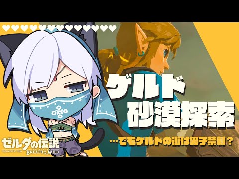 【ゲーム配信】ティアキンクリアしたのでもう一回ブレワイを旅したい！#13【BotW】