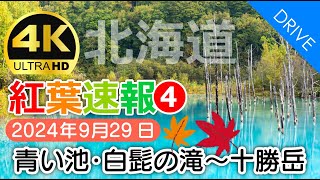 Hokkaido❹】Flash Report!Blue Pond, Shirohige no Taki Waterfall - Tokachidake Onsen (Mt. Tokachi) 2024