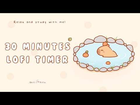 30 minutes - Relax & study with me Lofi | Cozy capybara #timer #30minrelaxingmusic  #pomodoro  #lofi