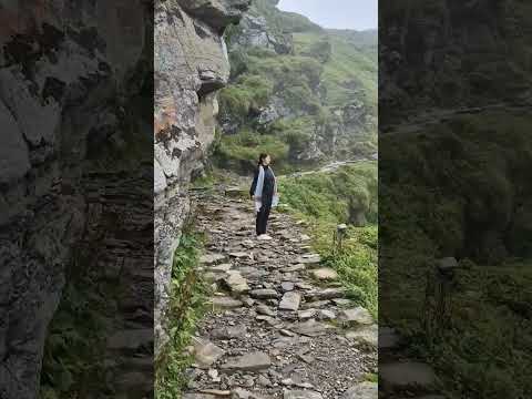 महादेव का बुलावा 🔱🙏☘️ #mahadevkabulaava #jaimahakaal #tungnath #utrakhand #worldhighest #shorts #om