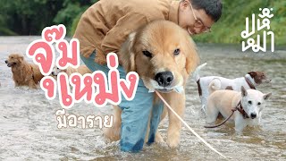 จุ๊มเหม่ง มีอาราย x @japanandfriends  - มหึหมา EP156