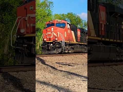 (WHOA!) CN TRAIN WITH WOW LASHUP! #railroad #canadiannationalrailway #cn