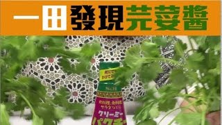 日本爆紅 芫荽醬  登陸香港 一田超巿 芫荽控注意！！！｜新假期