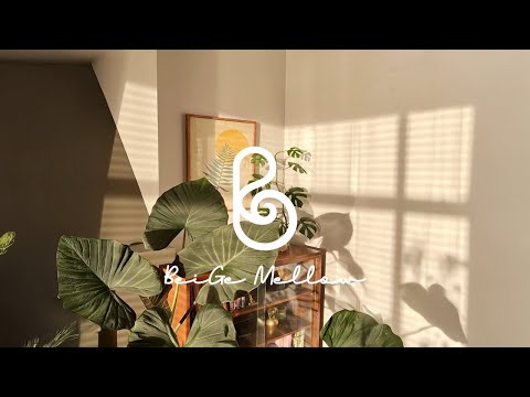 나만의 시간을 만들어줄 차분한 피아노🌿#pianomusic #피아노연주