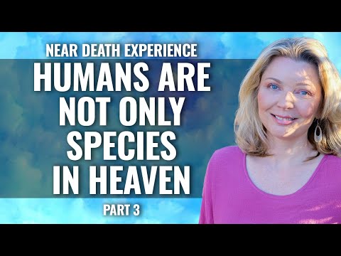 NDE: HUMANS ARE NOT THE ONLY SPECIES IN HEAVEN       Megan Brown Part 3