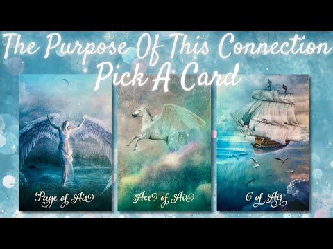 The Purpose Of This Connection 💛 PICK A CARD