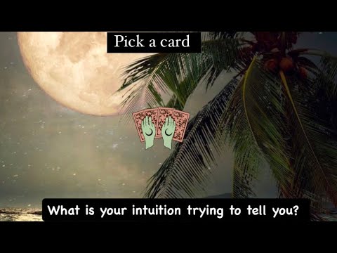 what is your intuition trying to tell you 🌼 #energyreading #pickacard #psychictarot