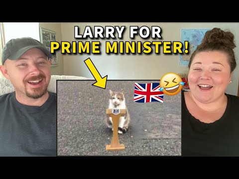 Americans Get to Know Larry the Cat - The UK's Most Famous Feline!