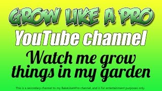 My New Gardening channel GrowLikeAPro On YouTube