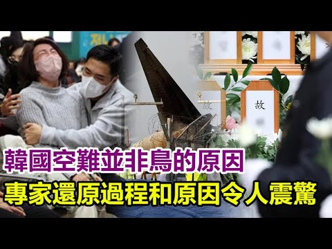 韓國空難是人為？並非鳥的原因？韓國大媽講述目睹墜毀全過程，專家還原過程和原因令人震驚！韓國# 南韓# 空難# 濟州航空# 務安# 廉航# 墜機# 全羅南道