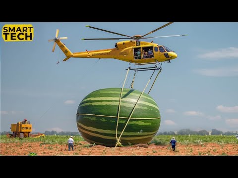 45 Most Satisfying Agriculture Machines and Ingenious Tools ▶ 74