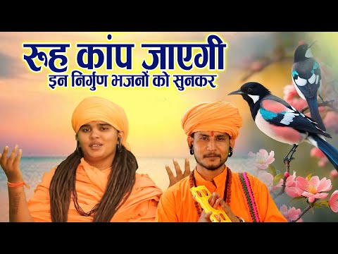 रूह कांप जाएगी इन निर्गुण भजनों को सुनकर | Nonstop Nirgun Bhajan | चेतावनी भजन | Satsangi Bhajan