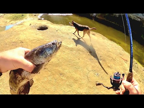 Pesca y cocina, exploración de fábrica abandonada y encuentro fósiles. Pesca urbana