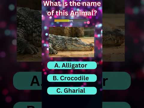 Animal Quiz! 🦁🦊🐼Part 1|  #viral #quiz #trending #shorts