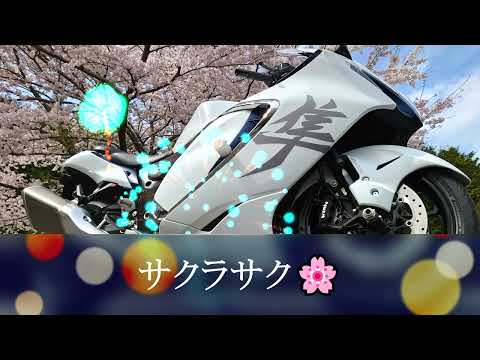 ＃新型隼＃桜満開＃初めての立ちごけか＃SUZUKI＃Hayabusa