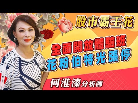 2024/11/11 股市霸王花 何淮溱 全面開放體驗班 花粉伯特光漲停